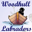 We are located on Long Island.